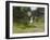 Osprey (Pandion Haliaetus) Flying With Fish Prey, Pirkanmaa, Finland, August-Jussi Murtosaari-Framed Photographic Print