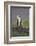 Osprey (Pandion Haliaetus) on Branch, Holding Stick, Cairngorms Np, Scotland, UK, July-Peter Cairns-Framed Photographic Print