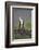 Osprey (Pandion Haliaetus) on Branch, Holding Stick, Cairngorms Np, Scotland, UK, July-Peter Cairns-Framed Photographic Print