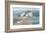 Osprey Point-Albert Swayhoover-Framed Art Print