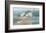 Osprey Point-Albert Swayhoover-Framed Art Print