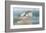 Osprey Point-Albert Swayhoover-Framed Art Print