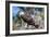 Osprey, Yucatan, Mexico-Howard Ruby-Framed Photographic Print