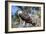 Osprey, Yucatan, Mexico-Howard Ruby-Framed Photographic Print