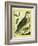 Osprey-Georges-Louis Buffon-Framed Giclee Print