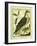 Osprey-Georges-Louis Buffon-Framed Giclee Print