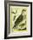 Osprey-Georges-Louis Buffon-Framed Giclee Print