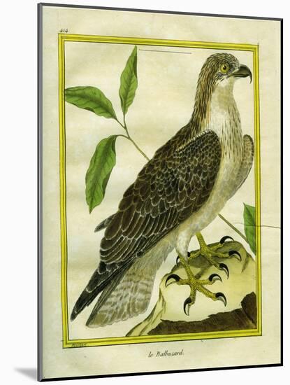 Osprey-Georges-Louis Buffon-Mounted Giclee Print