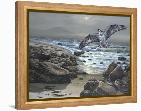 Osprey-Bruce Dumas-Framed Premier Image Canvas