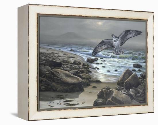 Osprey-Bruce Dumas-Framed Premier Image Canvas