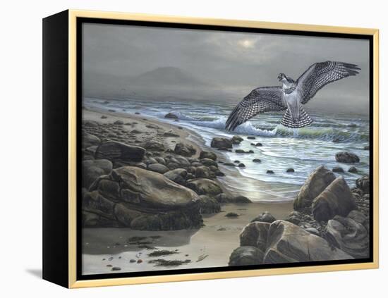 Osprey-Bruce Dumas-Framed Premier Image Canvas