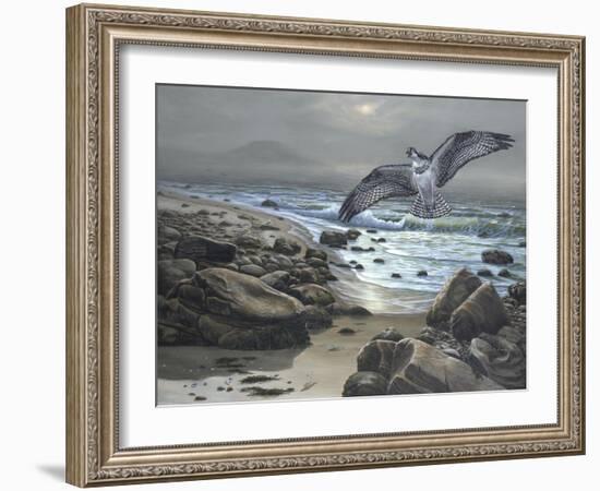 Osprey-Bruce Dumas-Framed Giclee Print