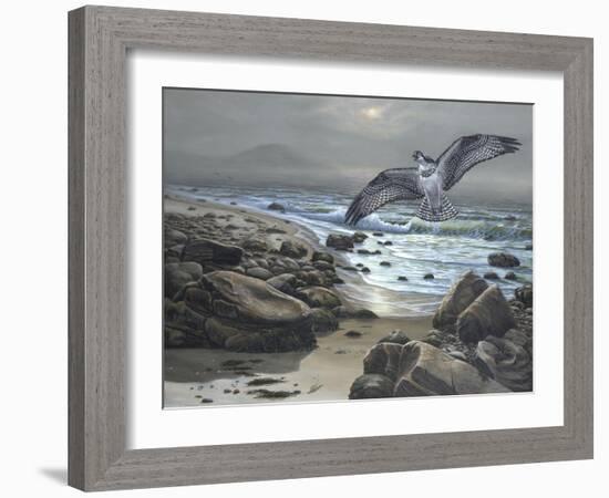 Osprey-Bruce Dumas-Framed Giclee Print