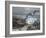 Osprey-Bruce Dumas-Framed Giclee Print