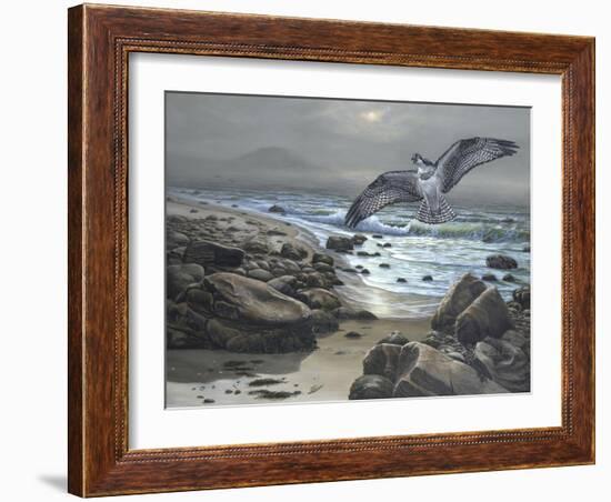 Osprey-Bruce Dumas-Framed Giclee Print