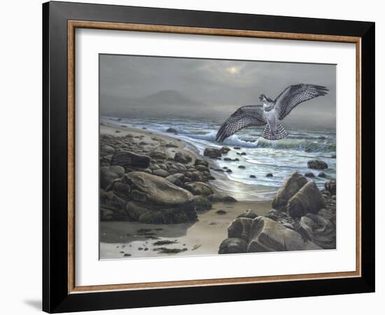 Osprey-Bruce Dumas-Framed Giclee Print