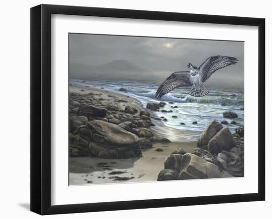 Osprey-Bruce Dumas-Framed Giclee Print