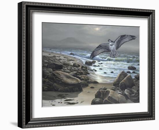 Osprey-Bruce Dumas-Framed Giclee Print