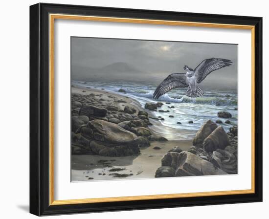 Osprey-Bruce Dumas-Framed Giclee Print