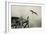 Ospreys at Pickwick-Jai Johnson-Framed Giclee Print