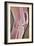 Osteoarthritic Knee X-ray-null-Framed Photographic Print