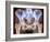 Osteoarthritis of Hip Joints, X-ray-Science Photo Library-Framed Photographic Print