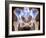 Osteoarthritis of Hip Joints, X-ray-Science Photo Library-Framed Photographic Print