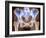 Osteoarthritis of Hip Joints, X-ray-Science Photo Library-Framed Photographic Print