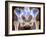 Osteoarthritis of Hip Joints, X-ray-Science Photo Library-Framed Photographic Print