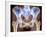 Osteoarthritis of Hip Joints, X-ray-Science Photo Library-Framed Photographic Print