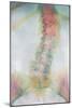 Osteoporosis of Spine, X-ray-Science Photo Library-Mounted Photographic Print