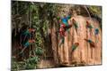 Photographic Print