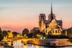 Notre Dame De Paris by Night and the Seine River France in the City of Paris in France-OSTILL-Photographic Print