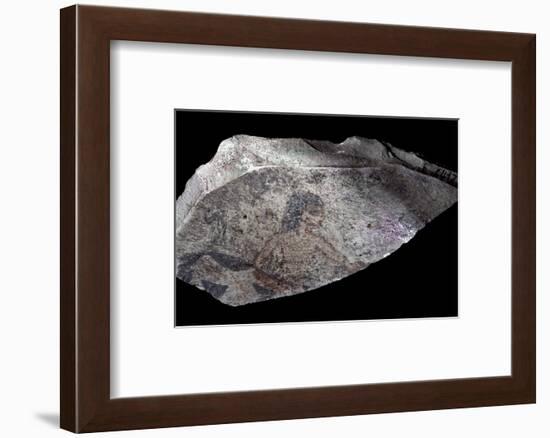 Ostracon with painting of a herdsman or butcher, Ancient Egypt, New Kingdom, c1570-1070 BC-Werner Forman-Framed Photographic Print