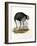 Ostrich, 1864-null-Framed Giclee Print