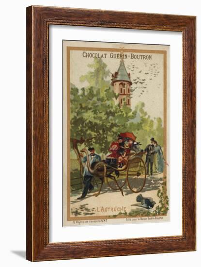 Ostrich Cart-null-Framed Giclee Print