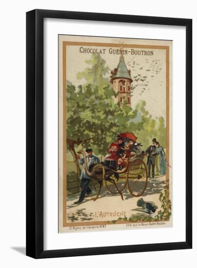 Ostrich Cart-null-Framed Giclee Print