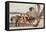 Ostrich chicks gathered near adult, Kgalagadi Transfrontier Park-Ann & Steve Toon-Framed Premier Image Canvas