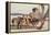 Ostrich chicks gathered near adult, Kgalagadi Transfrontier Park-Ann & Steve Toon-Framed Premier Image Canvas