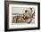 Ostrich chicks gathered near adult, Kgalagadi Transfrontier Park-Ann & Steve Toon-Framed Photographic Print