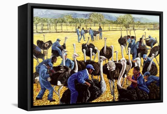 Ostrich Farm, 1988-Komi Chen-Framed Premier Image Canvas