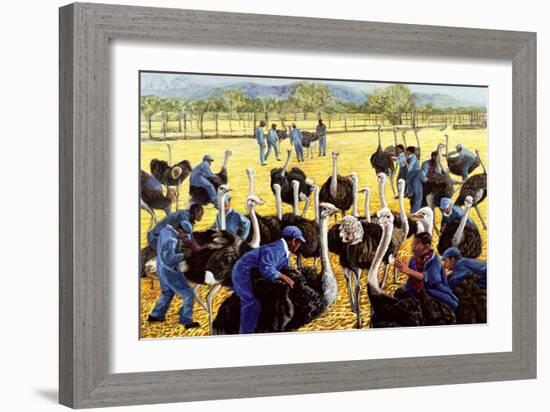 Ostrich Farm, 1988-Komi Chen-Framed Giclee Print