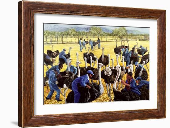 Ostrich Farm, 1988-Komi Chen-Framed Giclee Print