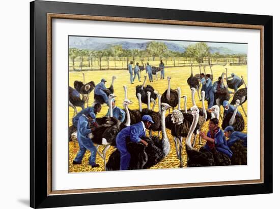 Ostrich Farm, 1988-Komi Chen-Framed Giclee Print