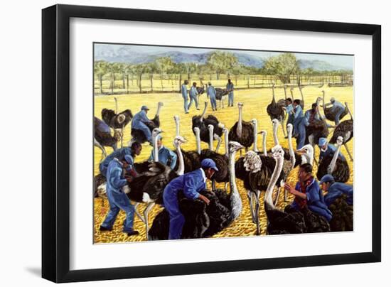 Ostrich Farm, 1988-Komi Chen-Framed Giclee Print