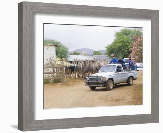 Ostrich Farm in Oudtshoorn, Little Karoo, South Affrica-Fraser Hall-Framed Photographic Print