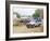 Ostrich Farm in Oudtshoorn, Little Karoo, South Affrica-Fraser Hall-Framed Photographic Print