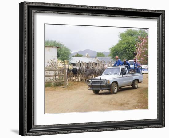 Ostrich Farm in Oudtshoorn, Little Karoo, South Affrica-Fraser Hall-Framed Photographic Print