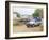 Ostrich Farm in Oudtshoorn, Little Karoo, South Affrica-Fraser Hall-Framed Photographic Print