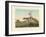 Ostrich Hunting-null-Framed Giclee Print